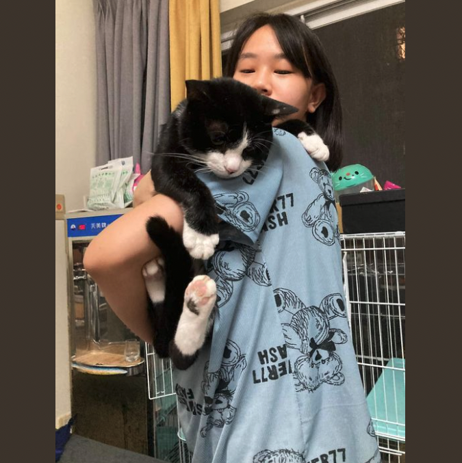 【 領養分享 】台中 親人親貓親隔壁的賓士大寶寶 找家中
